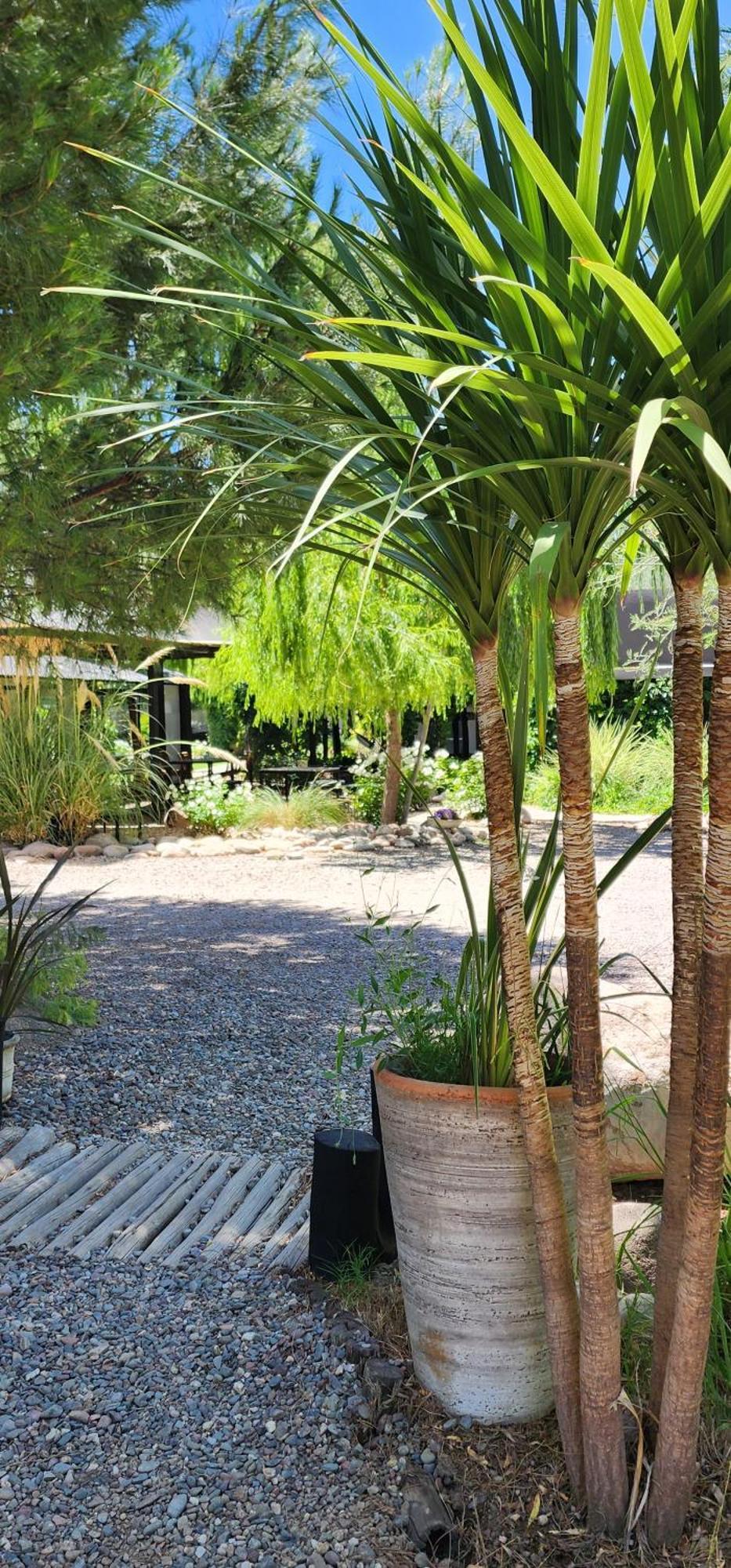 فندق Finca La Puebla La Consulta المظهر الخارجي الصورة