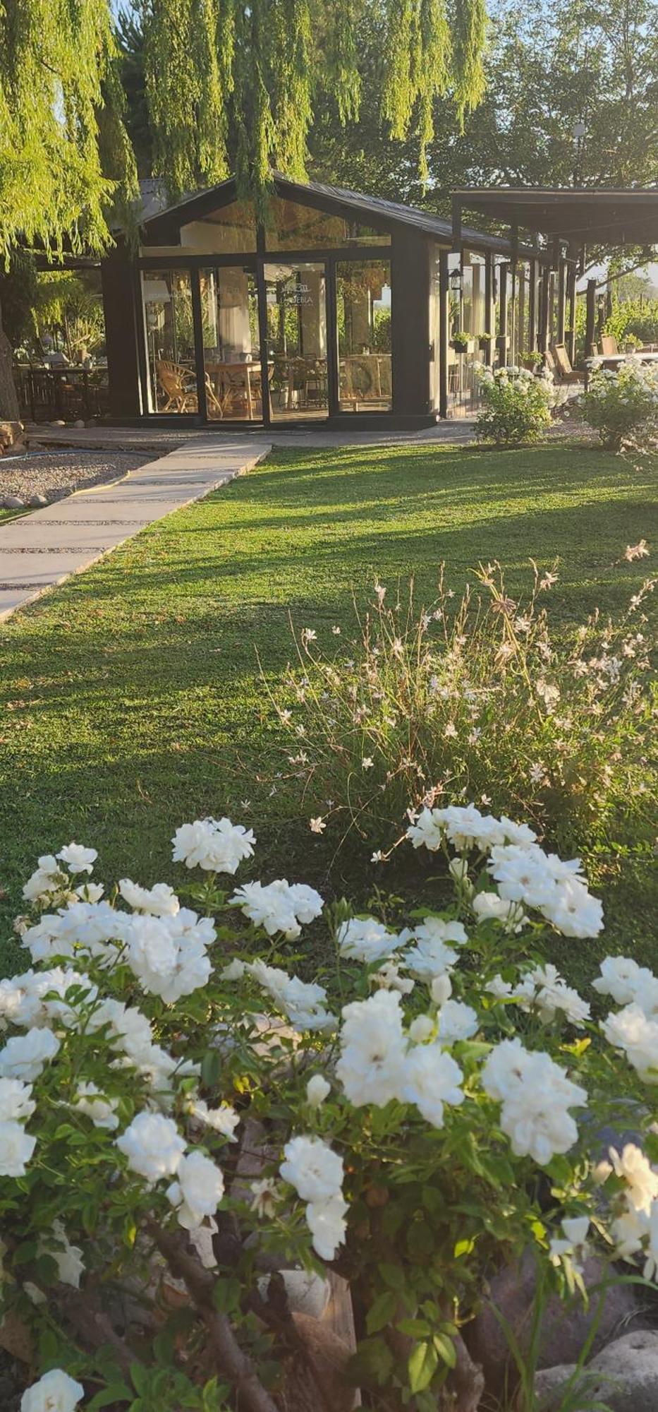 فندق Finca La Puebla La Consulta المظهر الخارجي الصورة