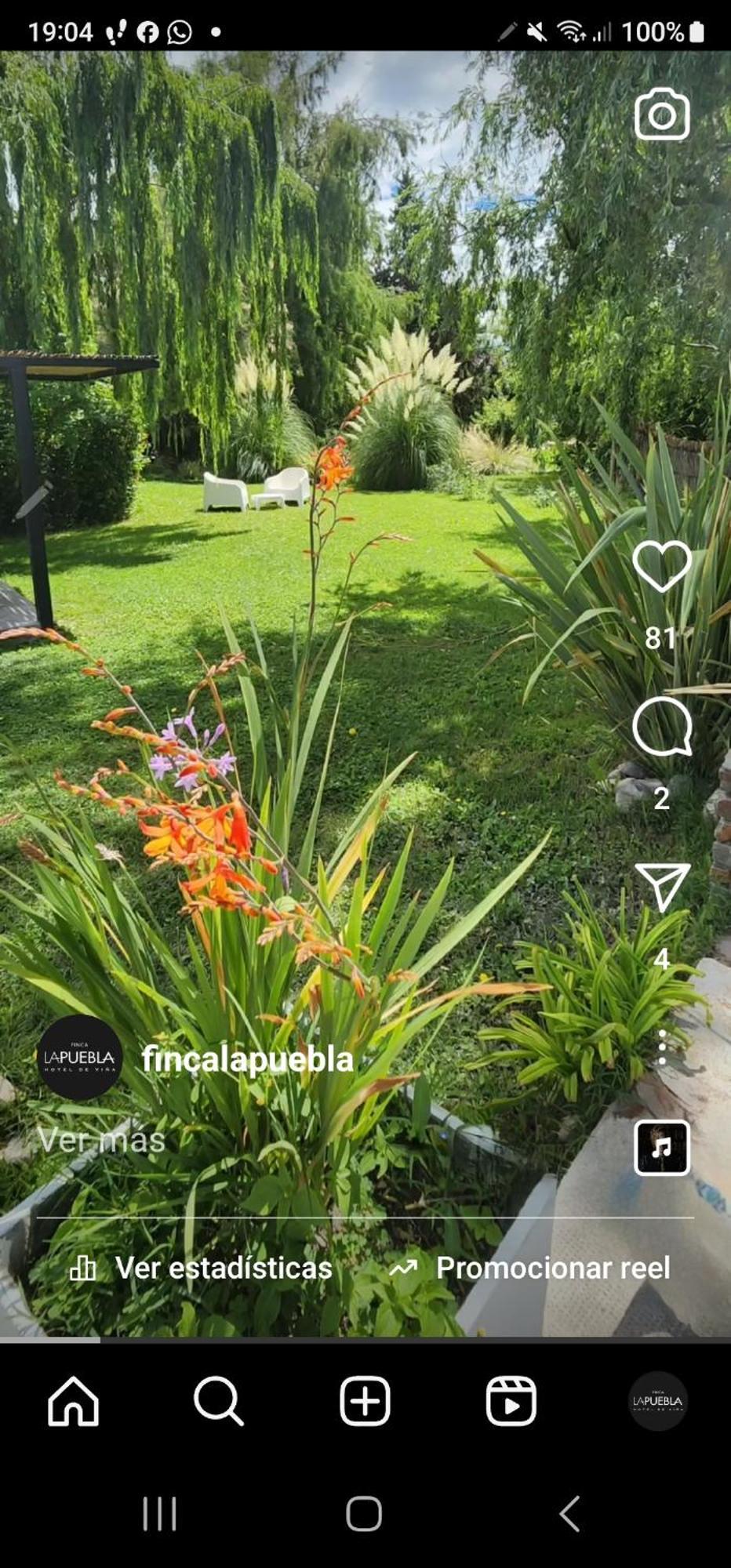 فندق Finca La Puebla La Consulta المظهر الخارجي الصورة