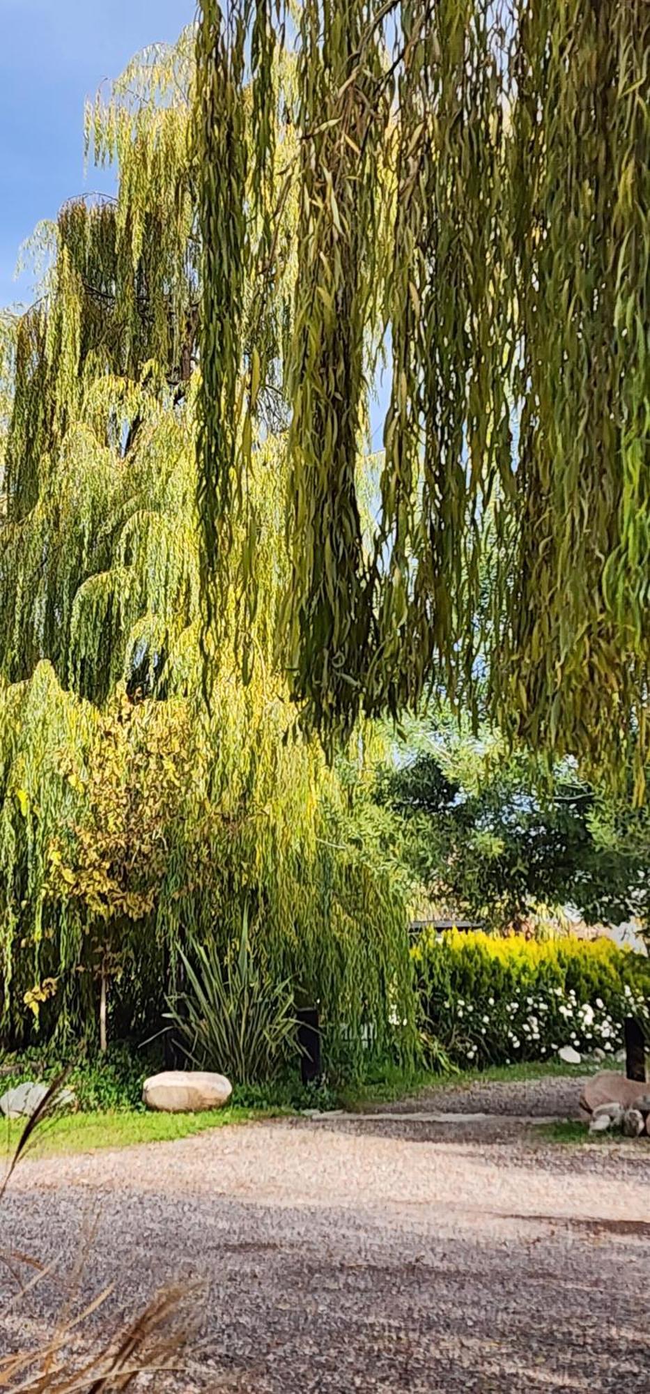 فندق Finca La Puebla La Consulta الغرفة الصورة
